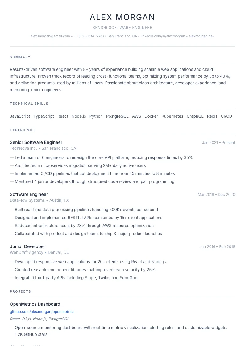 Nordic résumé template preview